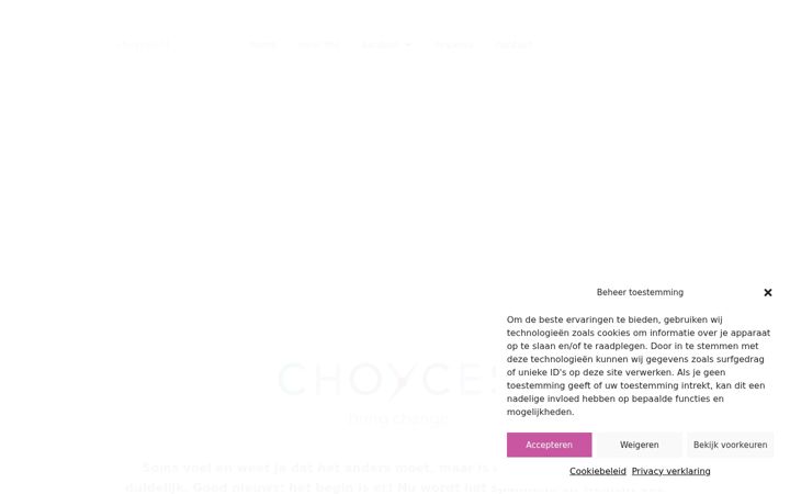 Képernyőkép: choyces.nl