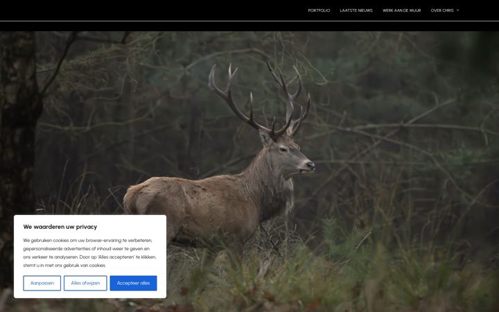 Képernyőkép: chrisdanen.nl