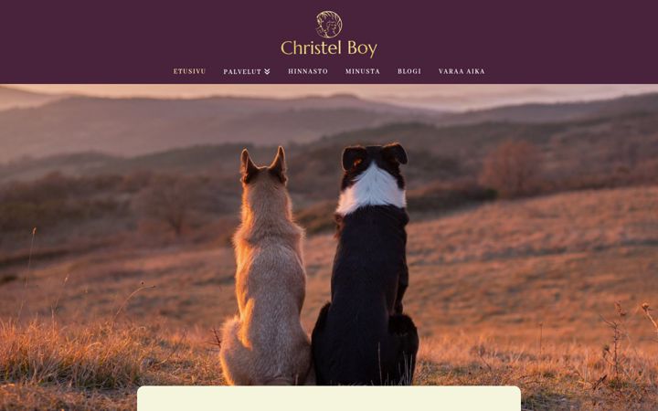 Screenshot di christelboy.fi
