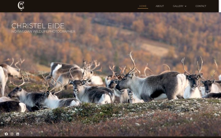 Skärmbild av christeleide.no