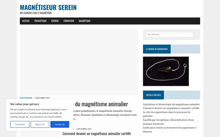 Captura de ecrã de christelleguillard-magnetiseur44.fr