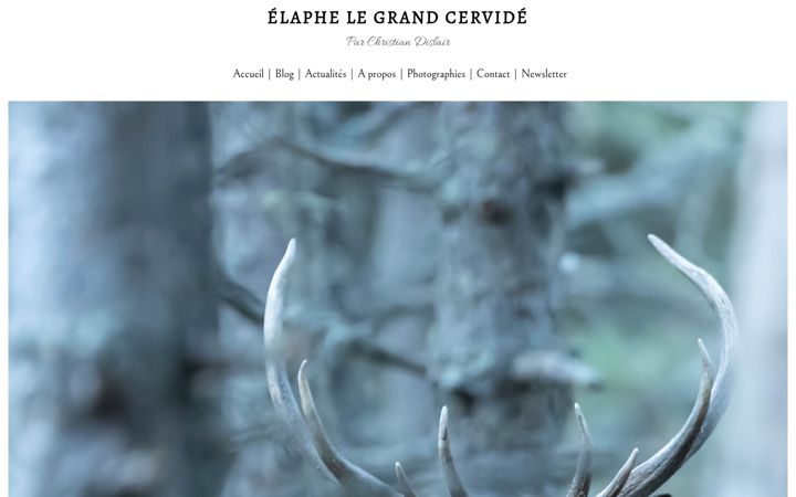 Captura de ecrã de christiandislair.fr