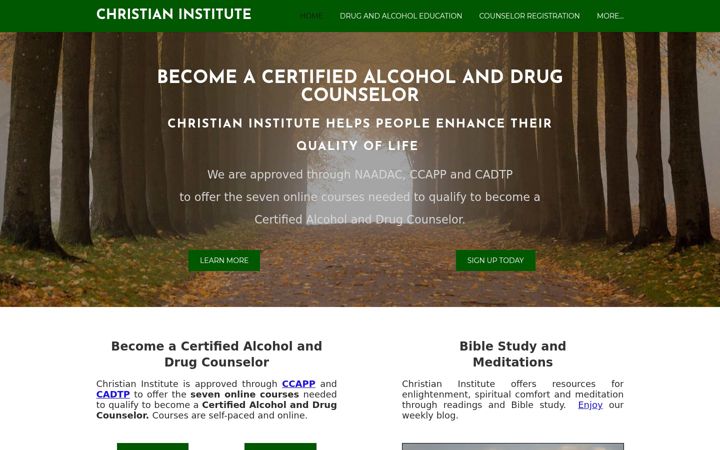 Zrzut ekranu christianinstitute.org