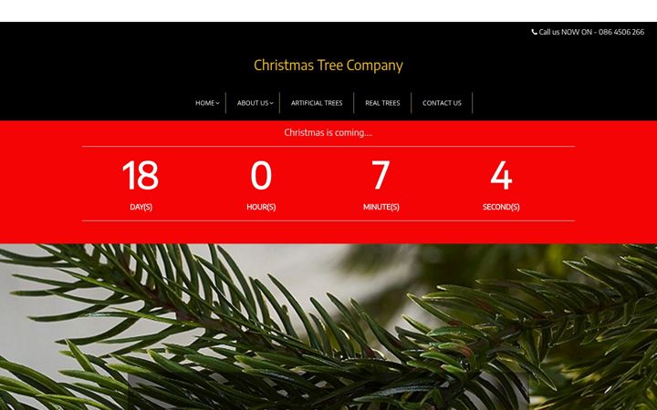 Capture d'écran de christmastreecompany.ie