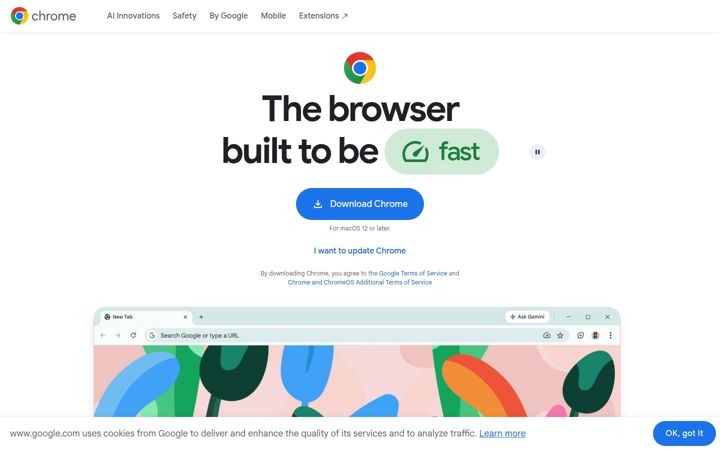 Zrzut ekranu chrome.com