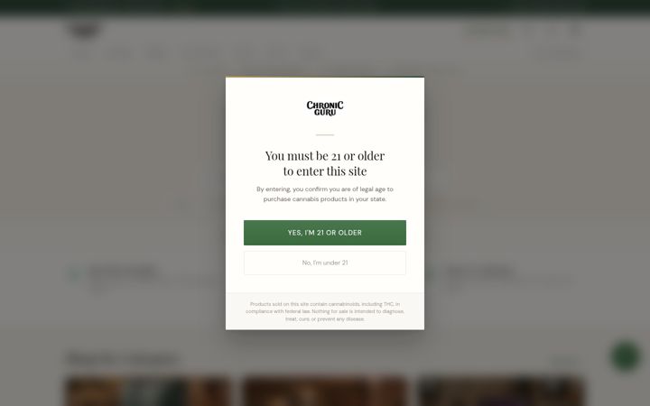 Screenshot of chronicguru.com