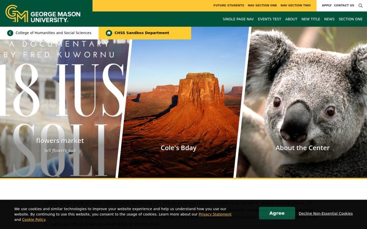 Screenshot von chssbox.gmu.edu