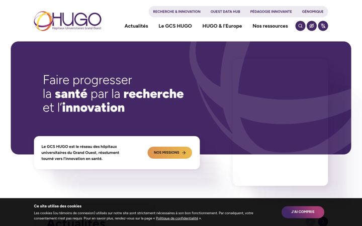 Zrzut ekranu chu-hugo.fr