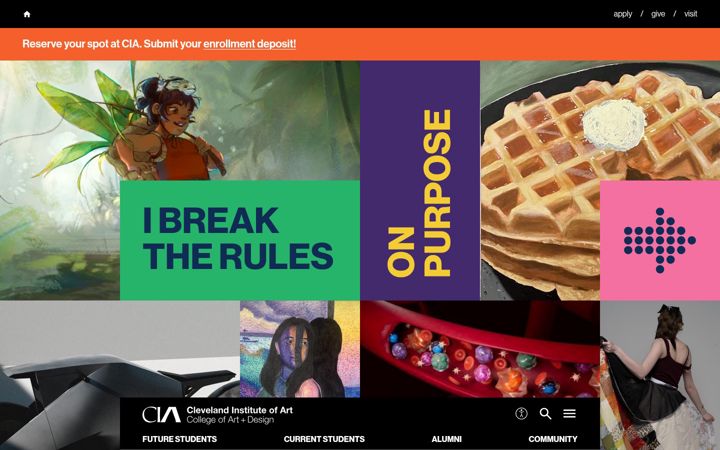 Screenshot von cia.edu
