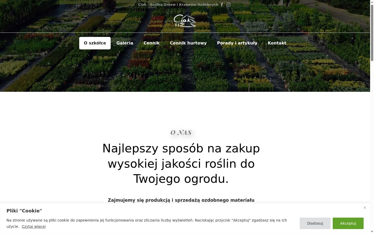 Snímek obrazovky baneru souhlasu zobrazeného před jakoukoli interakcí