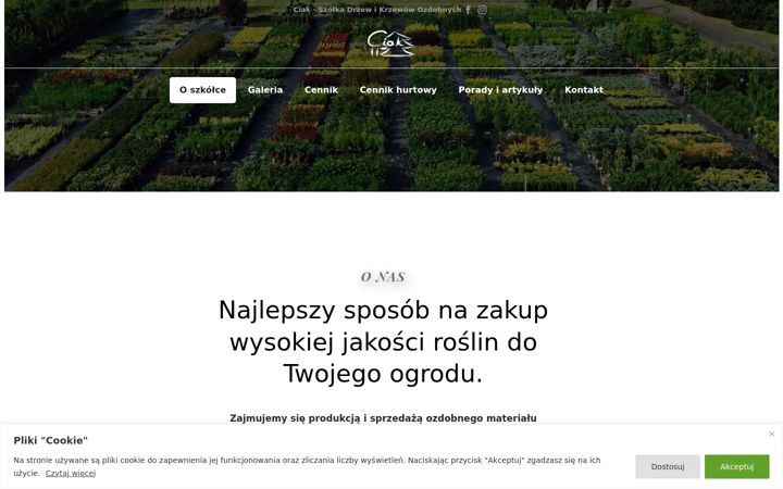 Captura de pantalla de ciak.pl