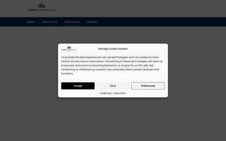 Screenshot of ciampoliconsulting.com