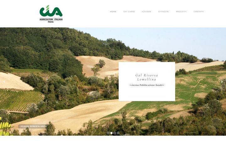 Screenshot of ciapavia.com