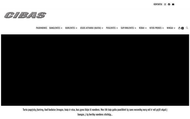 Screenshot di cibas.lt