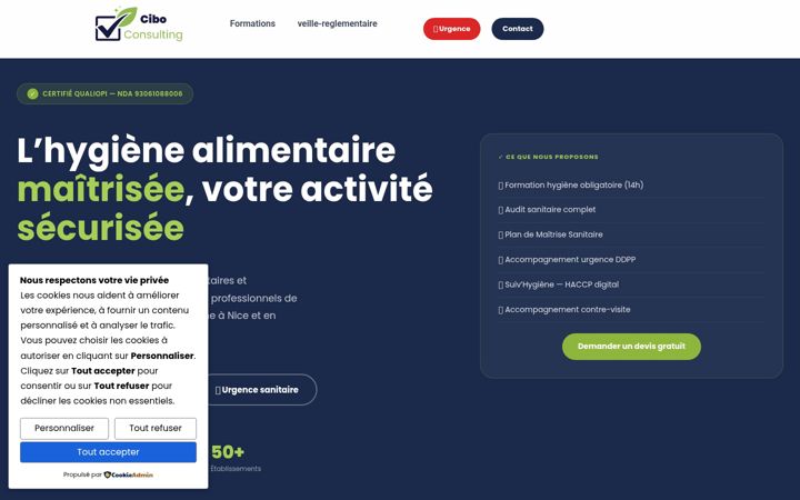 Zrzut ekranu ciboconsulting.fr