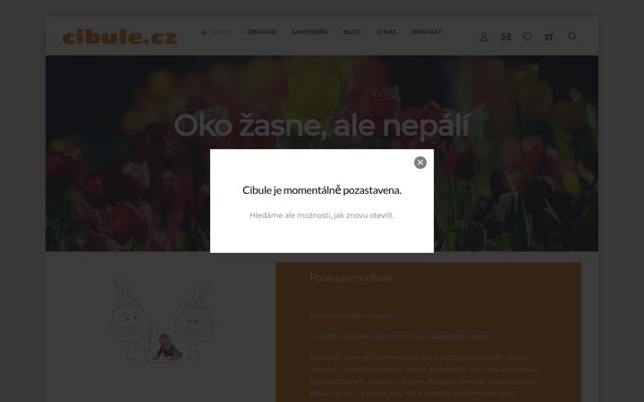 Captura de pantalla de cibule.cz