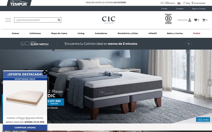 Екранна снимка на cic.cl