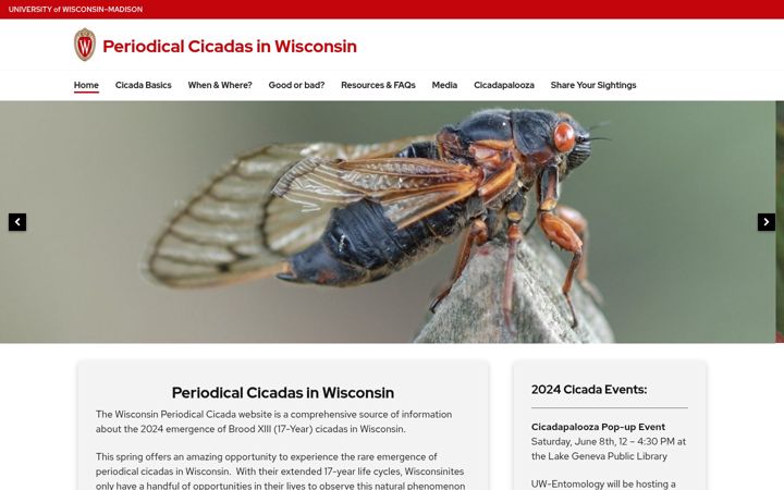 Screenshot von cicadas.wisc.edu