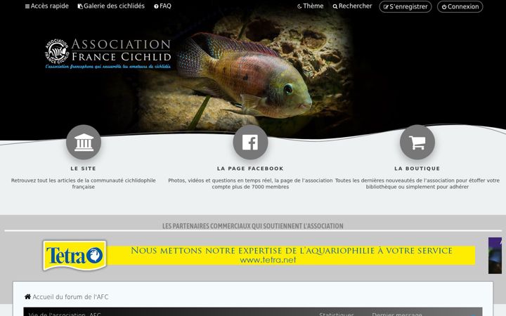 Zrzut ekranu cichlidsforum.fr
