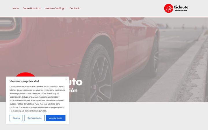 Screenshot of ciclautoautomocion.com