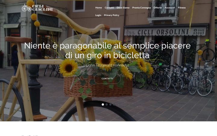 Screenshot of cicliorsolini.com