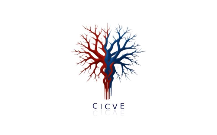 Screenshot di cicve.es