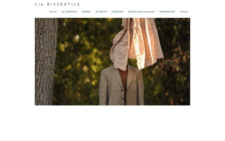 Captura de pantalla de cie-bissextile.fr