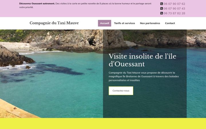 Zrzut ekranu ciedutaximauve.fr