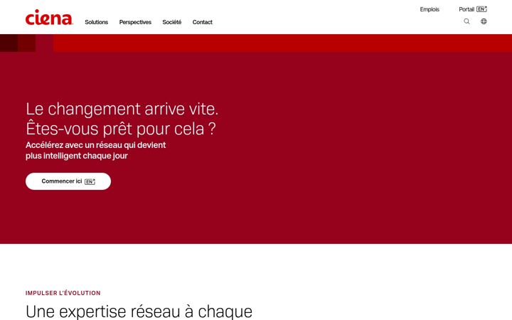 Zrzut ekranu ciena.fr