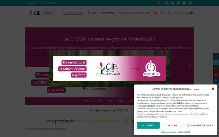 Zrzut ekranu cieoa.fr