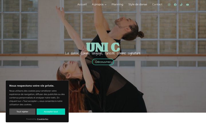 Zrzut ekranu cieunic.fr