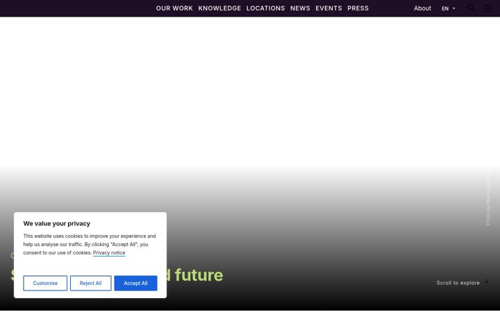 Screenshot of cifor-icraf.org