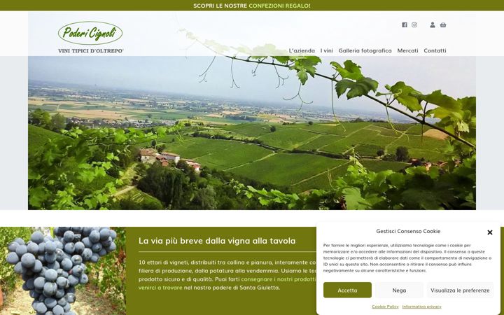 Screenshot of cignolivini.it