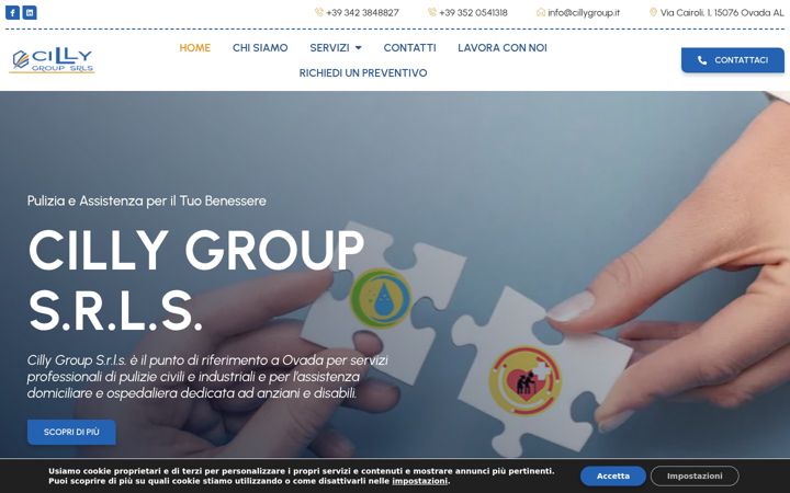 Екранна снимка на cillygroup.it