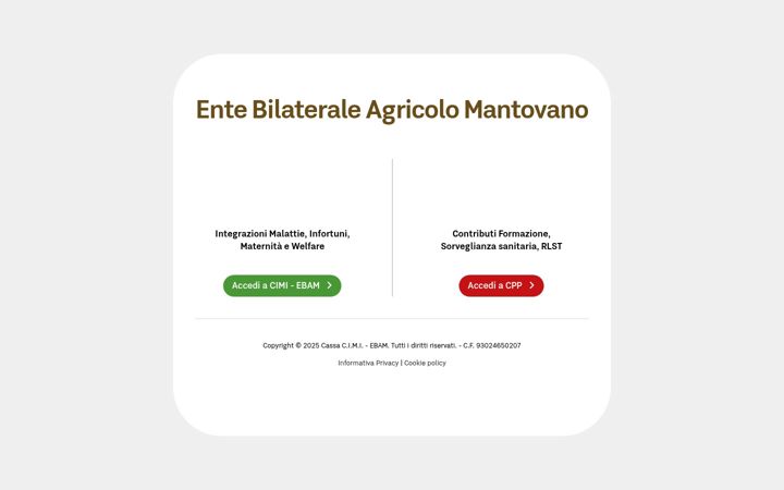 Screenshot of cimimantova.it