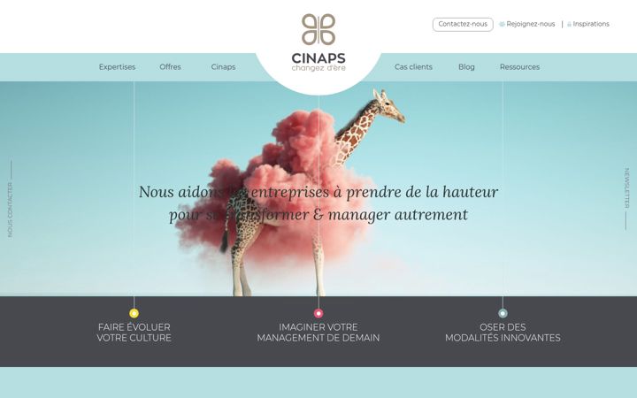 Screenshot of cinaps.com
