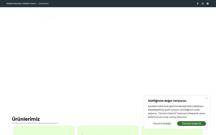 Ekrano kopija cinarfoods.com.tr