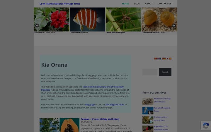 Skjermbilde av cinature.org