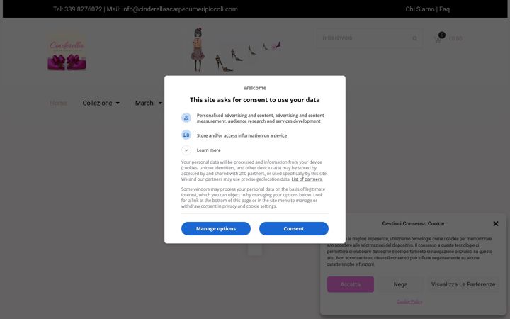 Screenshot of cinderellascarpenumeripiccoli.com
