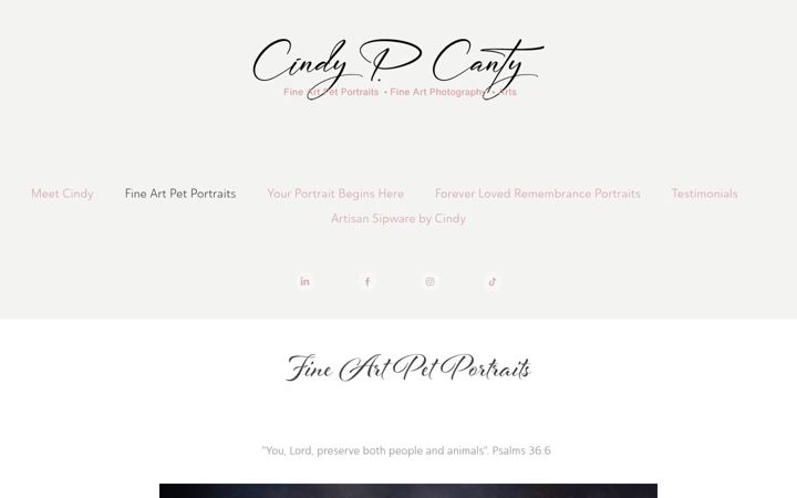 Screenshot of cindypcantyphotoandarts.art