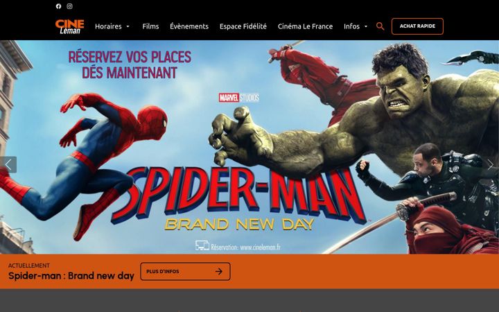 Zrzut ekranu cineleman.fr
