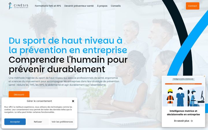 Zrzut ekranu cinesis.fr