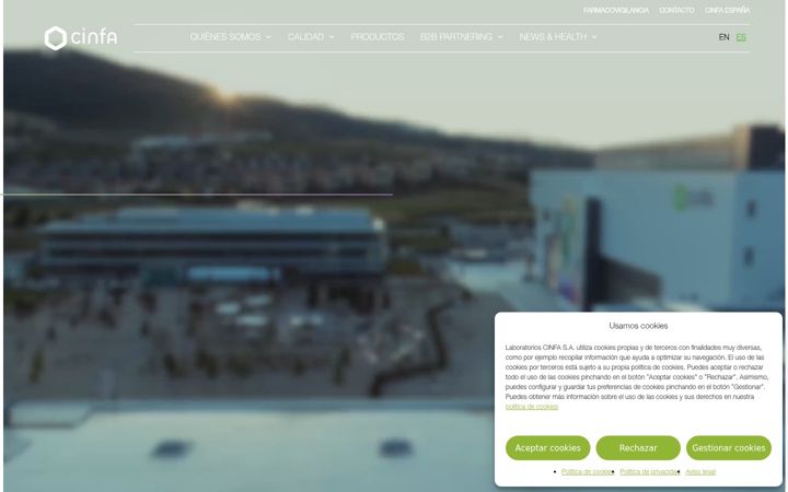 Screenshot of cinfainternational.com