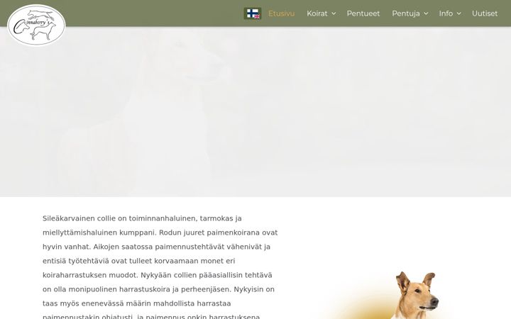 Screenshot of cinnaberry.com