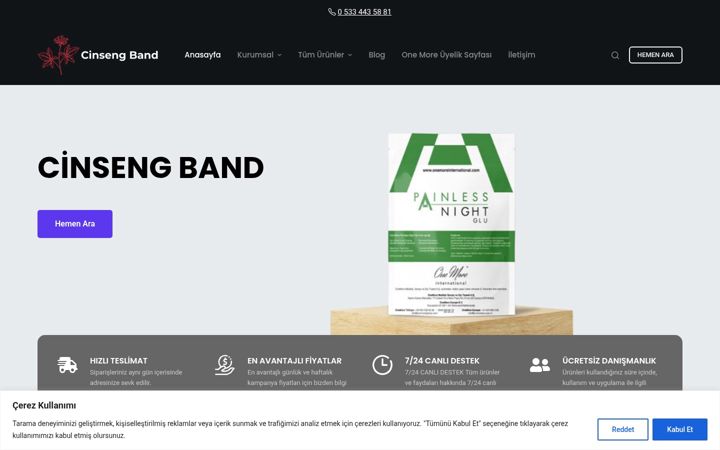 Screenshot of cinsengband.com