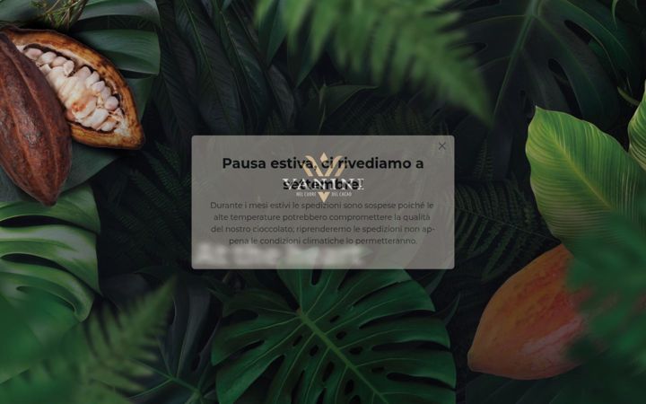 Screenshot of cioccolatovanini.it