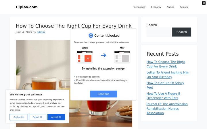 Screenshot of ciplav.com