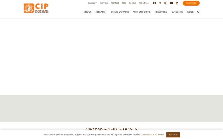 Screenshot of cipotato.org