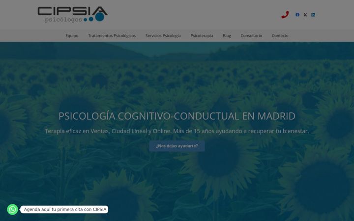 Screenshot of cipsiapsicologos.com