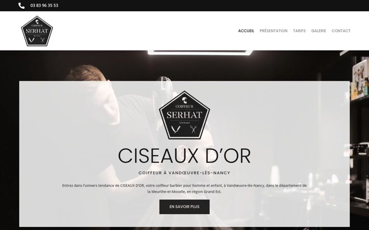 Zrzut ekranu ciseaux-dor.fr